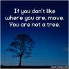 If-you-dont-like-where-you-are-move