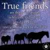 True-Friends-Are-Those-Rare-People-Who-Come-To-Find-You-In-Dark-Places-WP